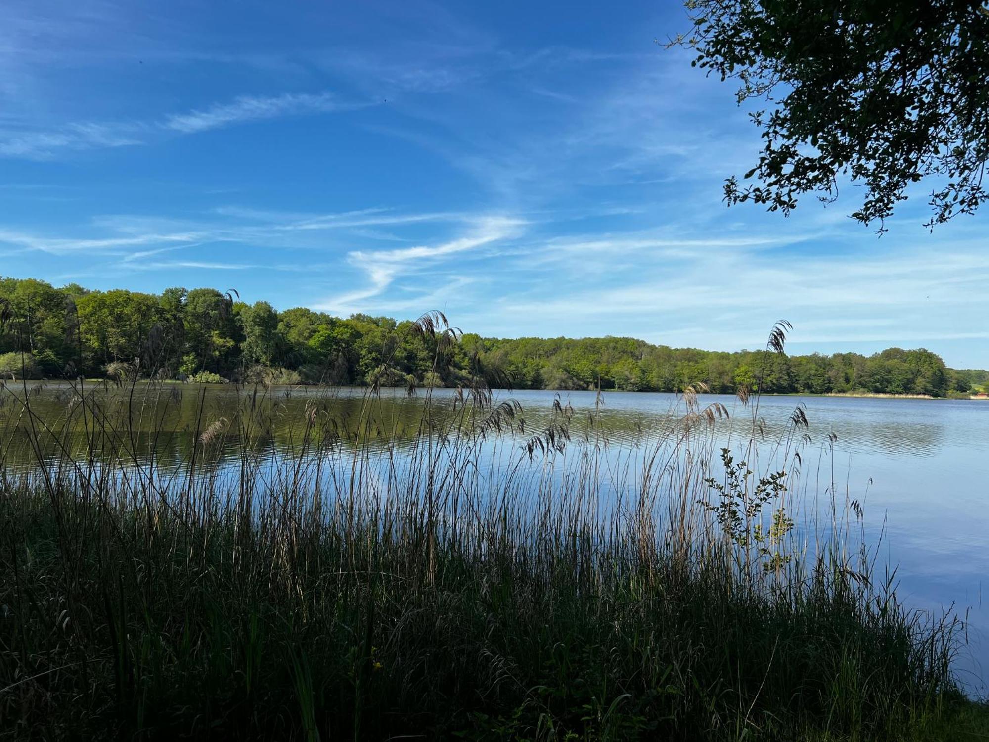 Chalet Au Bord De L'Etang 4 Pers Les Boulmiers Екстериор снимка